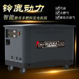 燃?xì)獍l(fā)電機(jī)組 高效清潔的能源動力新選擇