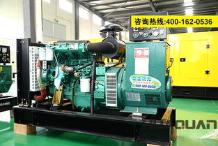 金磚峰會在印催化新商機，華全燃氣發電機組搶灘新興市場
